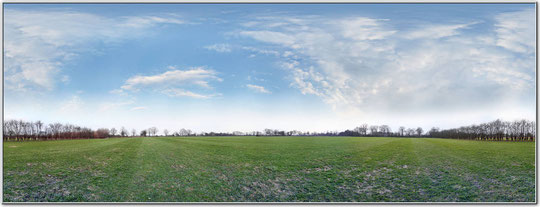 Wiese bei Bargteheide 1